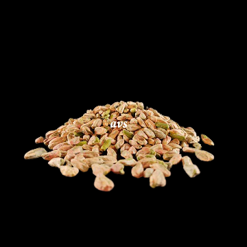 Pistachio Kernels – 1.Quality (Unripe, Early Picked) 